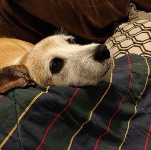 Meet your Posher, Alex